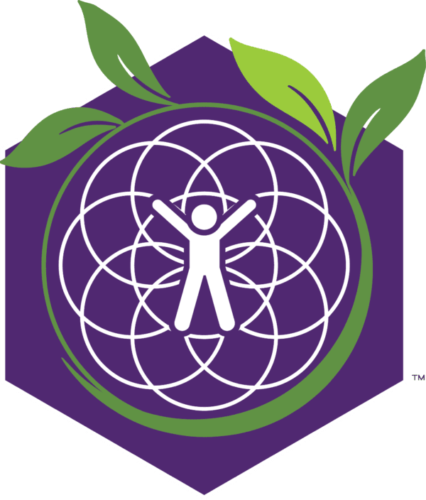 Collective Synergy Membership - 1 Sol